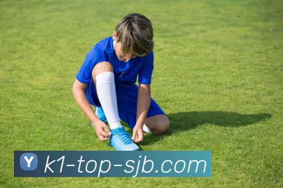 K1 Top，K1官网，K1体育官方网站，K1赛事推荐平台生态图